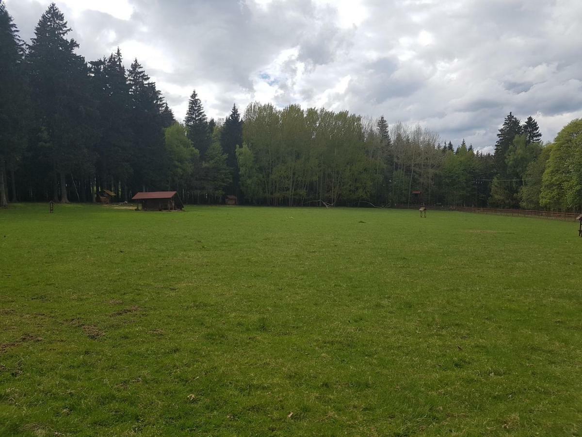 Pension Villa Berolina Mariánské Lázně Eksteriør bilde